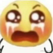 火车_叨位去的个人资料头像