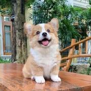 忘ci的个人资料头像