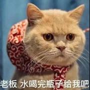 多睡善饭的leisure的个人资料头像