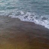 飘逸的风4842头像