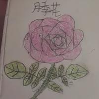 在黑暗中寻找明亮头像