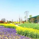 春暖花开4854311123141头像