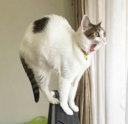 徐闲余的个人资料头像