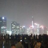 剑哥鱼头像