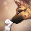 devil就是我的个人资料头像