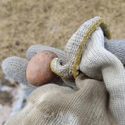 seasan的个人资料头像