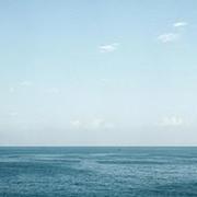 御守的个人资料头像