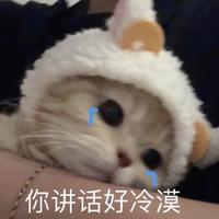 Komorebi8746头像
