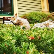 5Pointz的个人资料头像