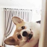 超跑b车头像