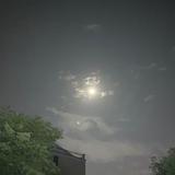 沉默是金33656头像