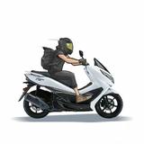 顺风2025头像