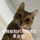 团崽爱吃肉 · 长安UNI-V车主·车龄2年头像