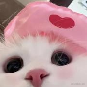 Catkin是个平平无奇的小机灵鬼的个人资料头像