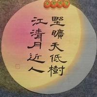 星途探险家头像