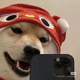 雾里136头像