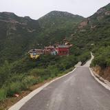 博瑞电子头像