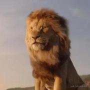 aSen的个人资料头像