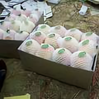 好了没伤疤忘了疼头像