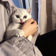 懒懒哟的个人资料头像