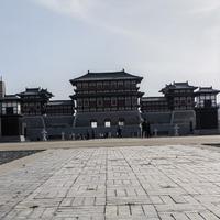 征台右将军头像