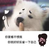 _她459头像