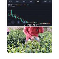 不要和趋势作对头像