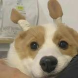 春生9005头像