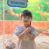 若锦麻麻头像