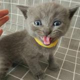 小人物58000头像