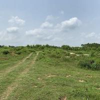 自由风筝SDs头像