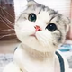 小明169373313 · 长安CS75 PLUS车主·车龄3年头像