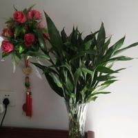 简单其实不简单头像