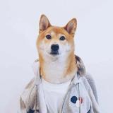 山水闲人慕白头像