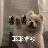 崔小逸c头像