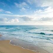 KAFEBABY的个人资料头像