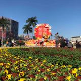 ka风飞TB头像