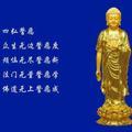 智者星星JF头像