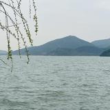 直爽圆月1i7头像