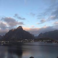 小孙开奔腾头像