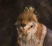 HadeonYu的个人资料头像