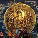 用户1629495625193头像