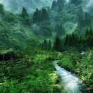 lmy爱学习的个人资料头像