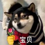 热闹铅笔q5V头像