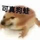 江海429 · 长安CS55 PLUS车主·车龄1年头像