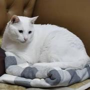 WYJ的个人资料头像