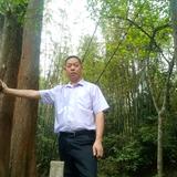 用户8651384900677头像