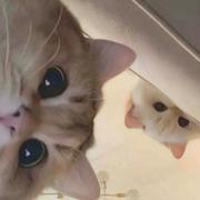 zhuhang的个人资料头像