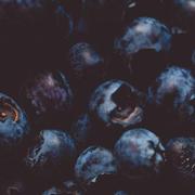 KE1V1S的个人资料头像