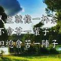 天道酬勤64846头像
